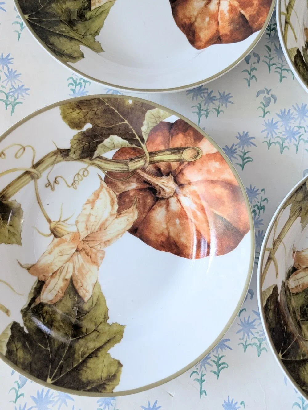 Williams Sonoma Botanical Pumpkin Large Rim Soup Bowl Set of 4 Harvest Dining